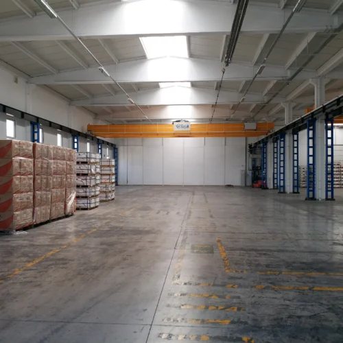 packaging and paper mill crane systems