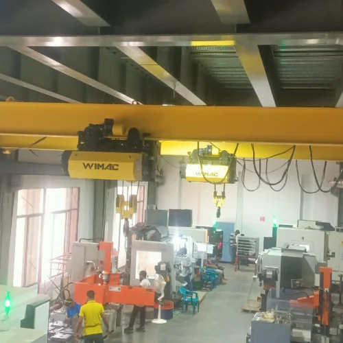 steel coil handling cranes