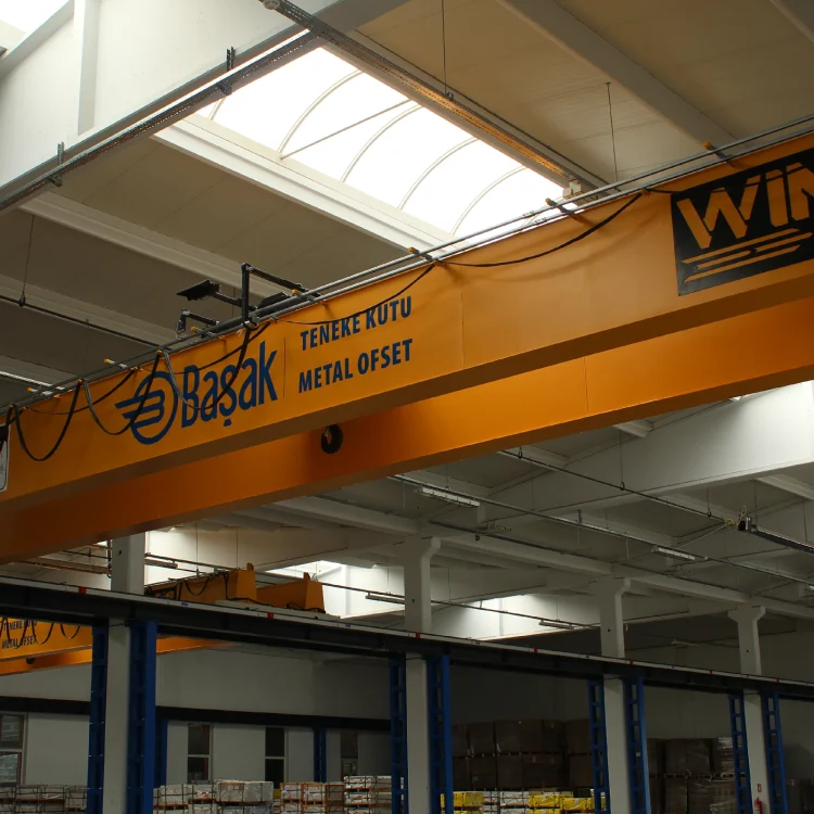 çift-kiris-gezer-koprulu-vinc-kapasite-secimi